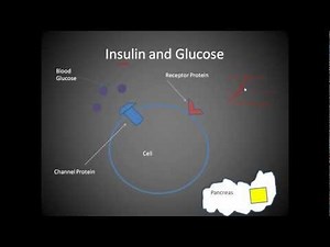 Proteins of Cell Membrane