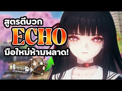 Complete Summary! How to Select/Mix/Enhance Echoes to Save Time | Wuthering Waves