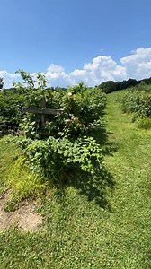 Mazza's Farm at Colchester, Vermont | Vermonter.com