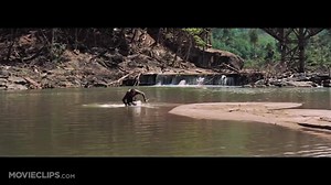 8.8K views · 76 reactions | MOVIE: The Bridge on the River Kwai, 1957 STARRING: William Holden, Alec Guinness, Jack Hawkins PLOT: British POWs build a railway bridge across the river Kwai for their Japanese captors, oblivious of the Allies' plans to destroy it. | The Fabulous Fifties | Facebook