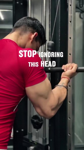 Medial Tricep Focus for Thicker Arms — 12-Week Plan