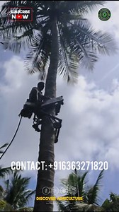 126 reactions · 7 comments | Introducing the innovative Coconut Tree...