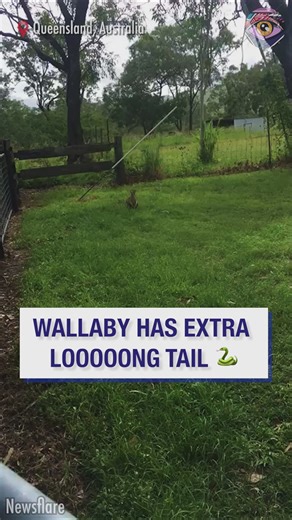 60K views · 64 reactions | Guess the country  | Bright Side | Facebook