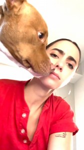 34K views · 201 reactions | This woman was telling a story when her dog, Apollo, started interrupting her. The dog mummed her with his face each time she spoke a word. | Jukin Copyright Management | Facebook