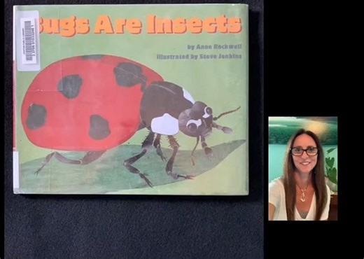 Bugs are Insects -- Let's Read and Find out Science 第一级