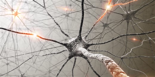 Scientists Successfully Made Advanced, Lab-Grown Brains—Could They Become Conscious?