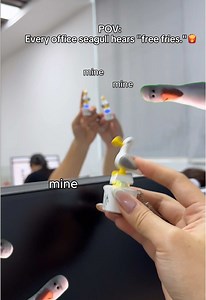 Seagull Button Keychain: The Hilarious “Mine! Mine!” Moment