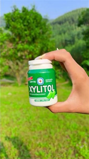 Survival Skills: SMART idea and USEFUL in forest #bushcraft #camping #outdoors #survival