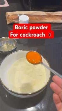 Best killer boric powder for cockroach 🪳 #foru #minivlog #cockroach #boricpowder #shorts