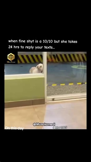 Hilarious Composure Moments to Relate To