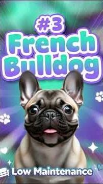 #top 10 Best Dog Breeds to Keep as Pets | Best Dog Breeds for First-Time Owners”