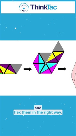 Did you know about flexagons? | Thinktac | #butterflylifecycle #butterfly #thinktac