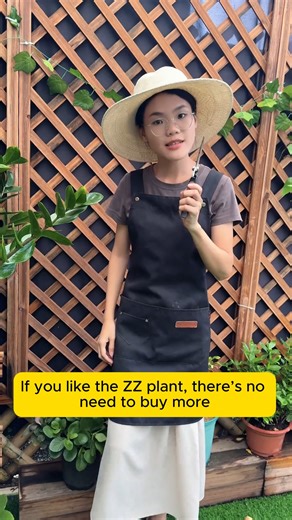 5.1K views · 44 reactions | Easy Money Tree Propagating Tips #cooltools #satisfying #gardeners #gardeninspiration #gardening #trees | Daily Garden Life | Facebook