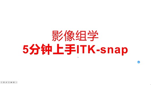 影像组学ITK—snap软件使用教学