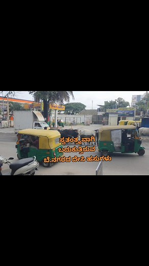 Nati cows at bangalore city | Sustainable agriculture India - Nirman ಸುಸ್ಥಿರ ಕೃಷಿ ಭಾರತ - ನಿರ್ಮಾಣ | Facebook