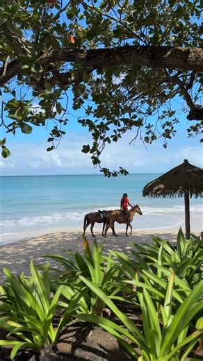 Sandals Halcyon Beach is surrounded by tropical forests and warm white sand. One of Sandals most intimate resorts, soak up the sun around the Caribbean's longest pool or dine in an overwater gourmet restaurant. If you're a golfer, your visit includes green fees at the Cap Estate Golf and Country Club as well as free acess to two other St.Lucia resorts in close proximity! Or perhaps ride a horse on the beach? At Creative Travel Brands, we are here to help you find the perfect resort. Contact us a