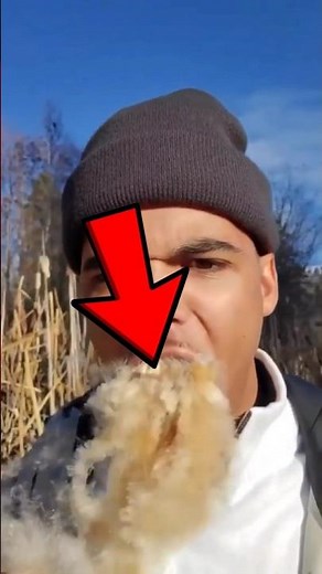 People Biting cattail! 😨 #short #shorts #viralvideo