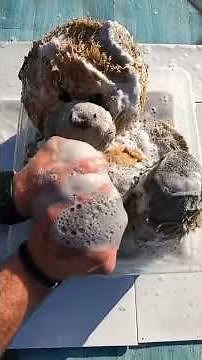 Epic Roommate Prank Wars 😂🚨