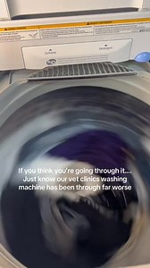 Our washer has seen things no machine should see — fluids, fur, and those mystery stains no one wants to talk about 🫣😬 But that’s vet life! A little chaos, a lot of care, and a team that keeps everything and every pet clean and cared for. Call us at 404-349-9576 to schedule your pet’s visit with us. #vetlife #realtalk #clinicgrind #animalcare #pethealth #teamwork | Southwest Veterinary Clinic
