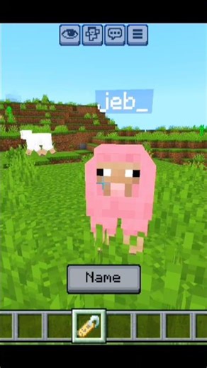 5 Mind-Blowing Name Tag Secrets in Minecraft Bedrock! 😱 (No Mods) #shorts #minecraft