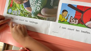 2025.5.17 Seven 自主收获Day117C级别 We Count