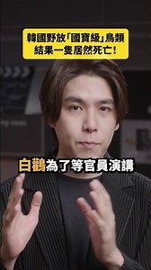 韓國野放「國寶級」鳥類，結果一隻居然死亡！｜志祺七七 Shorts #daily