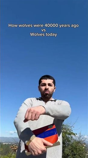 How wolves were 40000 years ago vs wolves today. #shorts #ufc #skit #funny