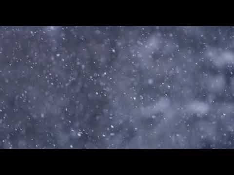 Winter Snowfall Background Loops snowflakes