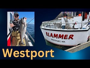 How to Book A Westport Fishing Charter