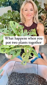 142K views · 9.7K reactions | Don’t you love plant math?? ...