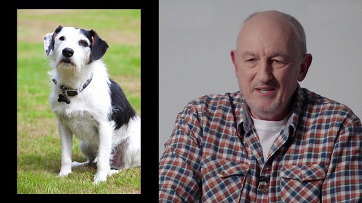 The best dog on the telly! Sad news that Midsomer’s retired sidekick Sykes, loyal companion to John Barnaby and family, passed away over the weekend. Celebrate the wonderful hound’s performance in this. | Midsomer Murders