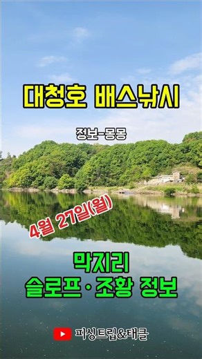 대청호 배스낚시 | 막지리 슬로프·조황 정보 #대청호 #배스낚시 #대청호슬로프 #조황정보 #막지리슬로프