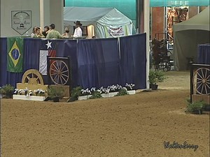Craig Schmersal rode into the NRBC books when he marked a 228 on Boom Shernic (Boomernic x She And Chic Dunit) to win the 2010 Open Classic Championship. Boom Shernic was owned by the Boom Shernic Syndicate. | National Reining Breeders Classic