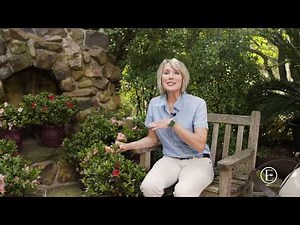 Encore Azalea Care: Frequently Asked Questions Answered with Linda Vater