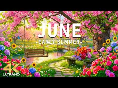 Blooming June 4K – A Peaceful Garden Morning 🌿 Gentle Nature, Flowering Paths & Healing Calm