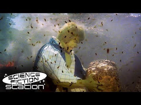 Hulk Fights A Swarm Of Bees! | The Incredible Hulk | Science Fiction Station