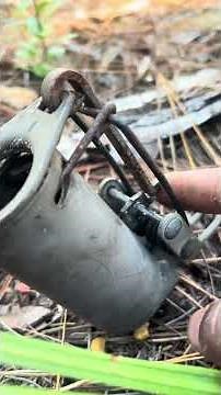 Easy dog proof coon trap method!! Works every time🦝 #hunting #trapping #wildlife