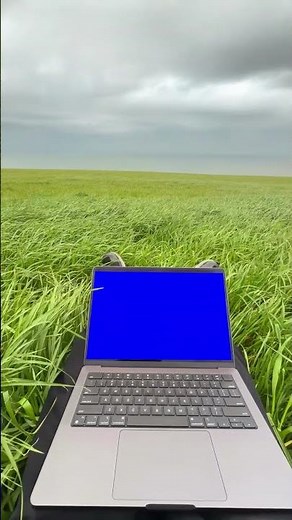 Using Laptop on Grass meme - Blue Screen