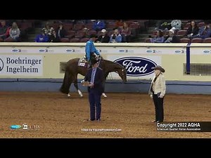 2022 Farnam AQHA and Adequan Select World Senior Western Pleasure