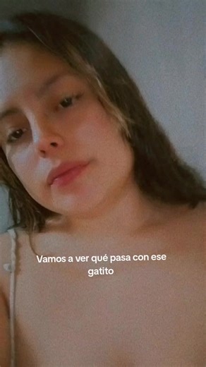 #siganmeporfavor✅❤ #tiktokverificamelacuentaporfavor #🖤😜😈 #masseguidores😍😍😍😎