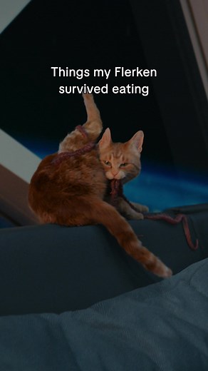 "What's wrong with that cat?" 😫 See Goose in #TheMarvels, now playing...