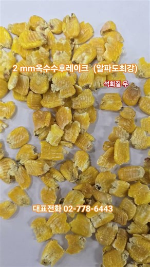 2mm 옥수수후레이크 (석회질무) 최상품질 특별가격 공급중 #옥수수후레이크 #파쇄옥수수 #주정박 #단백피 #한중에스에스