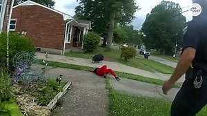 Potbelly pig takes officers, neighbors on colorful chase