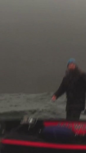 Eider ducks have an incredible diving ability that allows them to reach astonishing depths underwater. These ducks can dive as deep as 30 meters (90 feet) in search of their favorite shellfish. 🦆 #wildlife #themoreyouknow #fyp #foryoupage #outdoors #natureunveiled #ocean #wilddiscovery #wildencounters