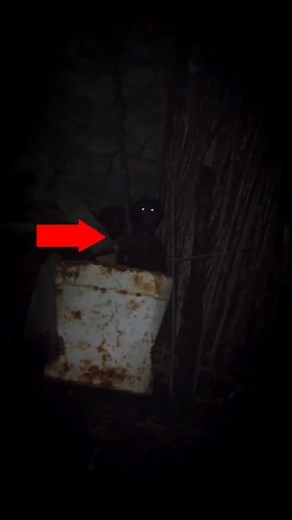 Mysterious dwarf who stole pets at night was accidentally caught on video #scary | Alien - UFO and mysterious creatures from all over the world | Facebook