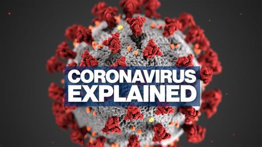 Coronavirus explained
