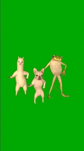 Epic Green Screen Dance Meme: Llama, Dog & Frog Grooving to 'DIE WITH A SMILE X OIIA CAT ||‪@vfxnoob‬