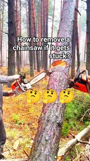How to remove a chainsaw if it gets stuck?!#chainsawman #wood #tree #fall #shortsfeed #shorts #wood