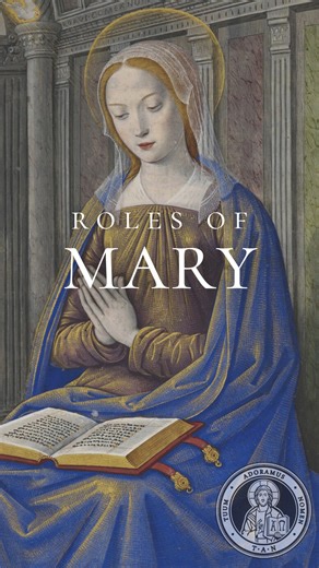 Get St. Bonaventure's "Mirror of the Blessed Virgin Mary" for $5! https://tanbooks.com/products/books/mirror-of-the-blessed-virgin-mary/ | TAN Books