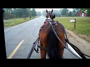 a trip to town in an amish buggy 001